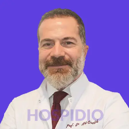 Prof. Dr. Ali Civelek