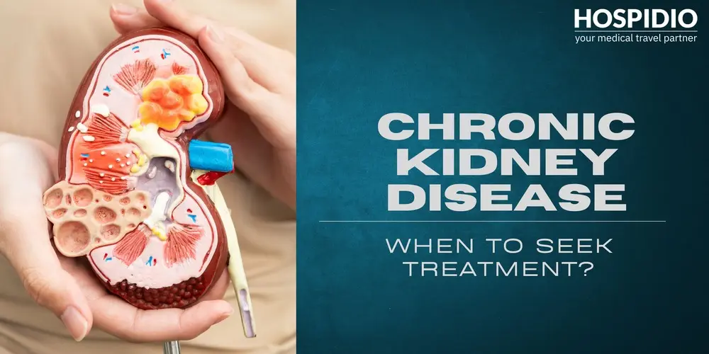 Хроническая болезнь почек: когда следует обращаться за лечением и почему пациенты выбирают Индию