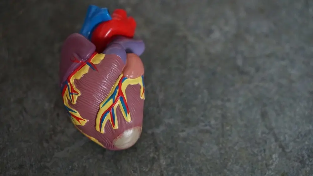 Coronary Artery Bypass Graft (CABG) 