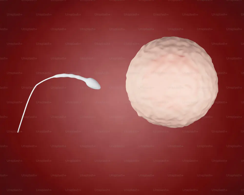 IVF (In-Vitro fertilization) in India